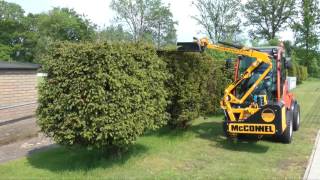 Holder DE 720p C 250 und M 480 im Garten und Landschaftsbau