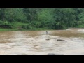 man walking in deadly flash flood flash floods in chaparai waterfalls vizag