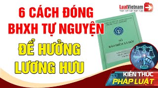 6 Cách Đóng BHXH Tự Nguyện Để Hưởng Lương Hưu | LuatVietnam