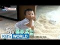 The Return of Superman - Daebak and Dad