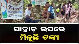 ପାହାଡ଼ ଉପରେ ମିଳୁଛି ଟଙ୍କା   | Odisha Reporter