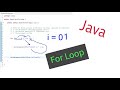 Java - Basic For Loop