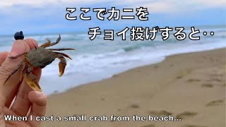 Fishing with crabs as bait. Fishing in Japan