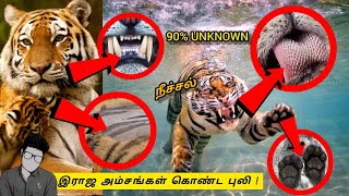 TIGER swim under water? | புலி ஏன் தனித்துவம் ? Tiger unknown facts in Tamil