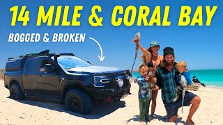 14 MILE BEACH WARROORA STATION AND CORAL BAY: 4X4 Coast Road Disaster | Giant Squid Catch and Cook!