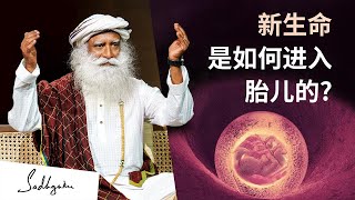 新生命是如何进入胎儿的？｜Sadhguru 萨古鲁