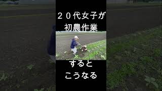 ２０代女子が初農作業するとこうなる　＃shorts　＃ひまわり畑　＃２０代女子　＃農作業　＃間引き　＃ひまわり間引き　＃向日葵　＃水の上走る　＃５０m走