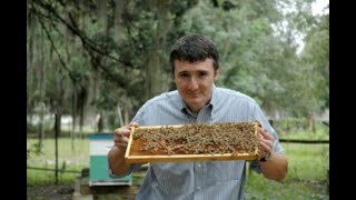 Dr. Jamie Ellis- The Most Important Aspects of Bee Management