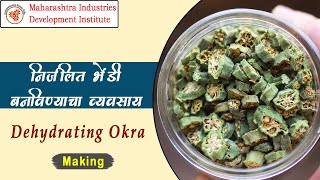 निर्जलित  भेंडी  बनविण्याचा व्यवसाय || Dehydrated Okra Marathi