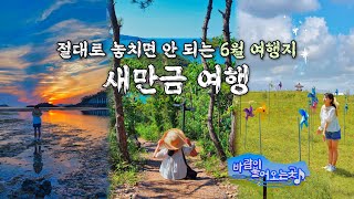 6월에 가면 좋은 국내여행지, 새만금 당일치기 가볼만한곳🌿 군산 선유도 필수 여행 코스, 신시도와 새만금 환경생태단지 생태공원 Best5