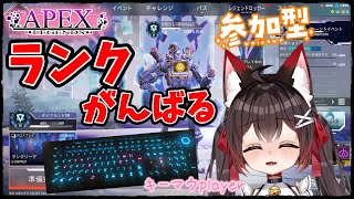 【APEX】マスター目指してランクする✨～初見さん大歓迎(˘︶˘).｡.:*♡【バ美肉VTuber】【参加型】