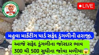 Mahuva Market Yard Bajar Bhav | સફેદ ડુંગળીમા આજે ફુલ તેજી ₹300 થી 550 સુધી😱 @MahuvaOnionRate