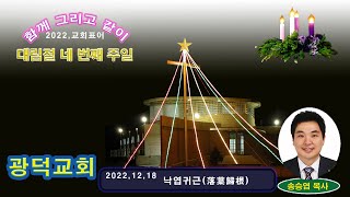 광덕교회,2022,12,18,낙엽귀근(落葉歸根)