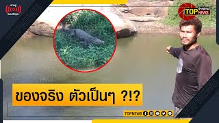 ชาวบ้านระทึก “ไอ้เข้” โผล่อาบแดดริมอ่างลำพันชาด เชื่ออยู่มานานคู่วังสามหมอ!!  | ข่าวด่วน | TOP NEWS