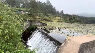 Kokkal Lake | Must Visit in Kodaikanal | Drive to beautiful dense forest #kodaikanal #kookal