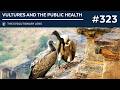 Vultures and the Public Health: The 323rd  Evolutionary Lens with Bret Weinstein and Heather Heying