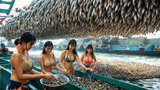 The Method of Catching Thousands of Mackerel in the Sea, The Deadly Net Technique You Won't Believe!