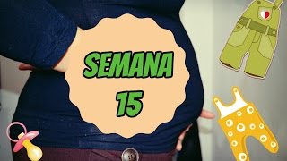 Diário da 15ª Semana de Gestação