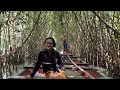 world s 2nd largest mangrove forest tour a day trip in varkala what are mangrove trees ep 5