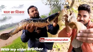 मरल का धमाल | Murrel ka hua attack | snakehead ka शिकार | sardi