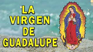 Cántos a la virgen de Guadalup - La Virgen De Guadalupe - Canto De Alabanza (disco completo) 2023