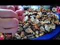 How to clean unshelled mussels @remyshomecooking2493