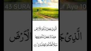 Surah Az Zukhruf  ki tilawat o tajweed sath ayat no 10  سورۂ* زخرف *  کا تلاوت و تجوید کے ساتھ