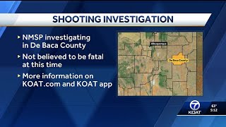 One injured in shooting in Fort Sumner, New Mexico