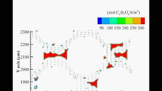 Simulated biomass development in a microfluidic flow cell