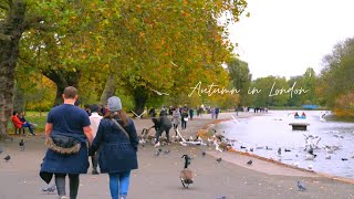 Autumn in London | 伦敦摄政公园，最美的灿烂金黄 🍂  肉桂味拿铁，属于秋天的记忆 ☕️