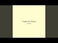 Fragile Sky Breeze