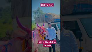 Bakya Don song #music #song #marathi #dj #shorts #subscribe #shortvideo #short #viralvideo #video