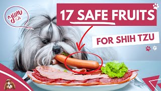 17 Fruits Shih Tzus can SAFELY Eat!