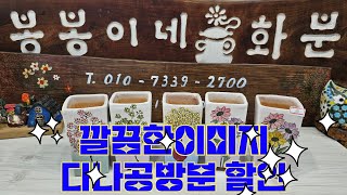 12월4일 #봉봉이네화분 #수제다육공방분 #오전영상 다나공방분 할인세일