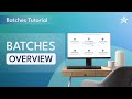 Batches Introduction | All You Need to Know About Batches