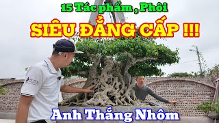 SIÊU ĐẲNG CẤP !!! - 15 Tác Phẩm , Phôi của Vườn Cây anh Thắng Nhôm