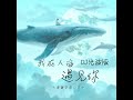 我在人海遇见你 dj光波版