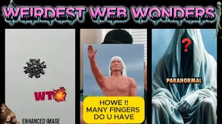weirdest web wonders vol 24