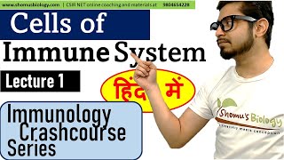 Cells of immune system in Hindi | Immunology lecture 1