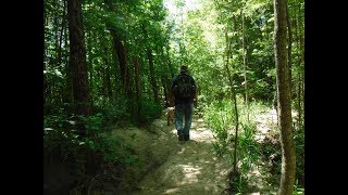 Tips On How Not To Get Lost While Hiking