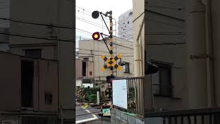 都電荒川線　変な配置の踏切