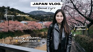 JAPAN VLOG: MY FIRST CHERRY BLOSSOM EXPERIENCE IN KAWAZU, SHIZUOKA ♡