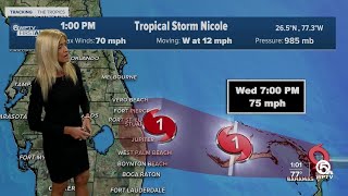Tropical Storm Nicole forecast, 1 p.m. on Nov. 9, 2022
