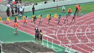 Ｈ２７　千葉県選手権　男子110mH　準決勝2組