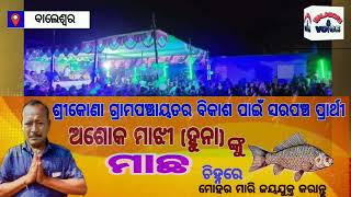 ଶ୍ରୀରାମପୁର ପଞ୍ଚାୟତରେ ବିଜୁ ଜନତା ଦଳର ନିର୍ବାଚନୀ ପ୍ରସ୍ତୁତି ବୈଠକ