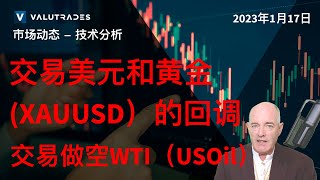 交易美元和黄金（XAUUSD）的回调。上升楔形中的NZDUSD。交易做空WTI（USOil）。