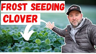 The Secrets To Clover Frost Seeding: Insider Tips 2025