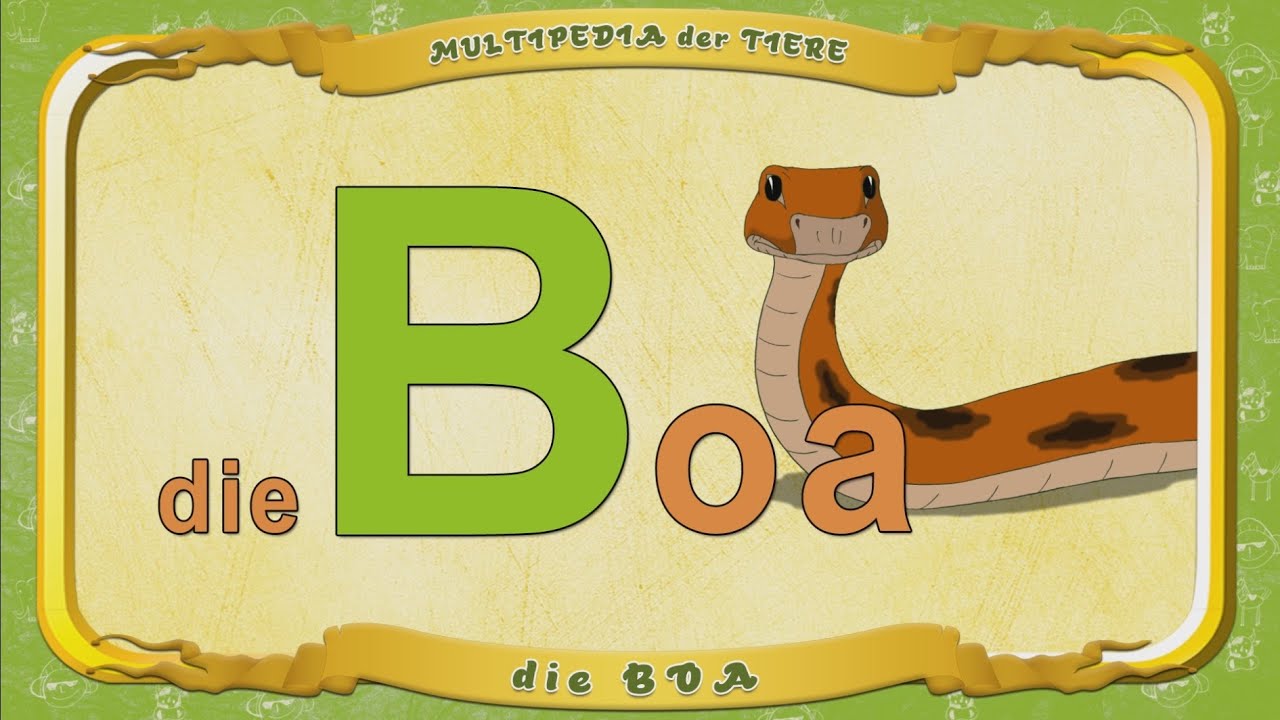 Multipedia Der Tiere. Buchstabe B - Die Boa - YouTube