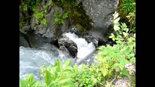 VID  Nature   TORRENT DE NAVETTE 05