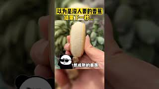 🍉：家人们，谁懂啊